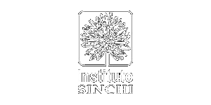 10_sinchi
